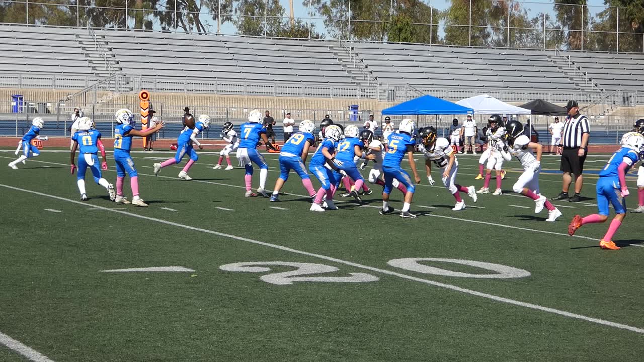 jaxon long catch
