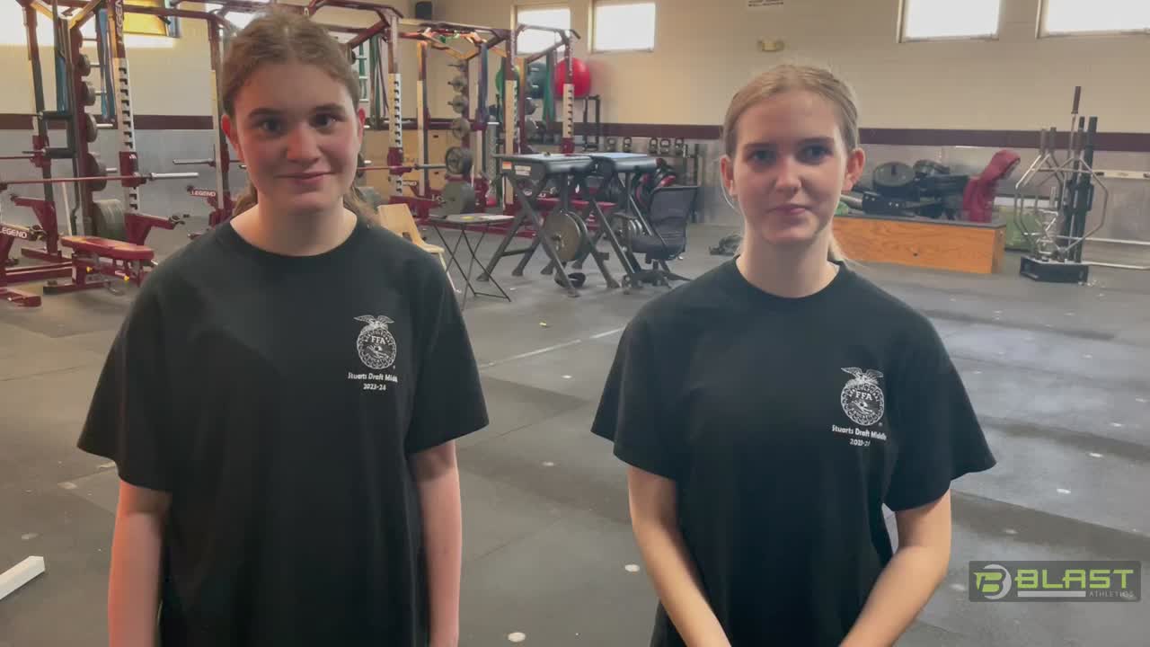 Meet the team