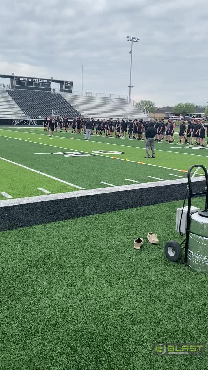 Our lions getting warm for a workout.
