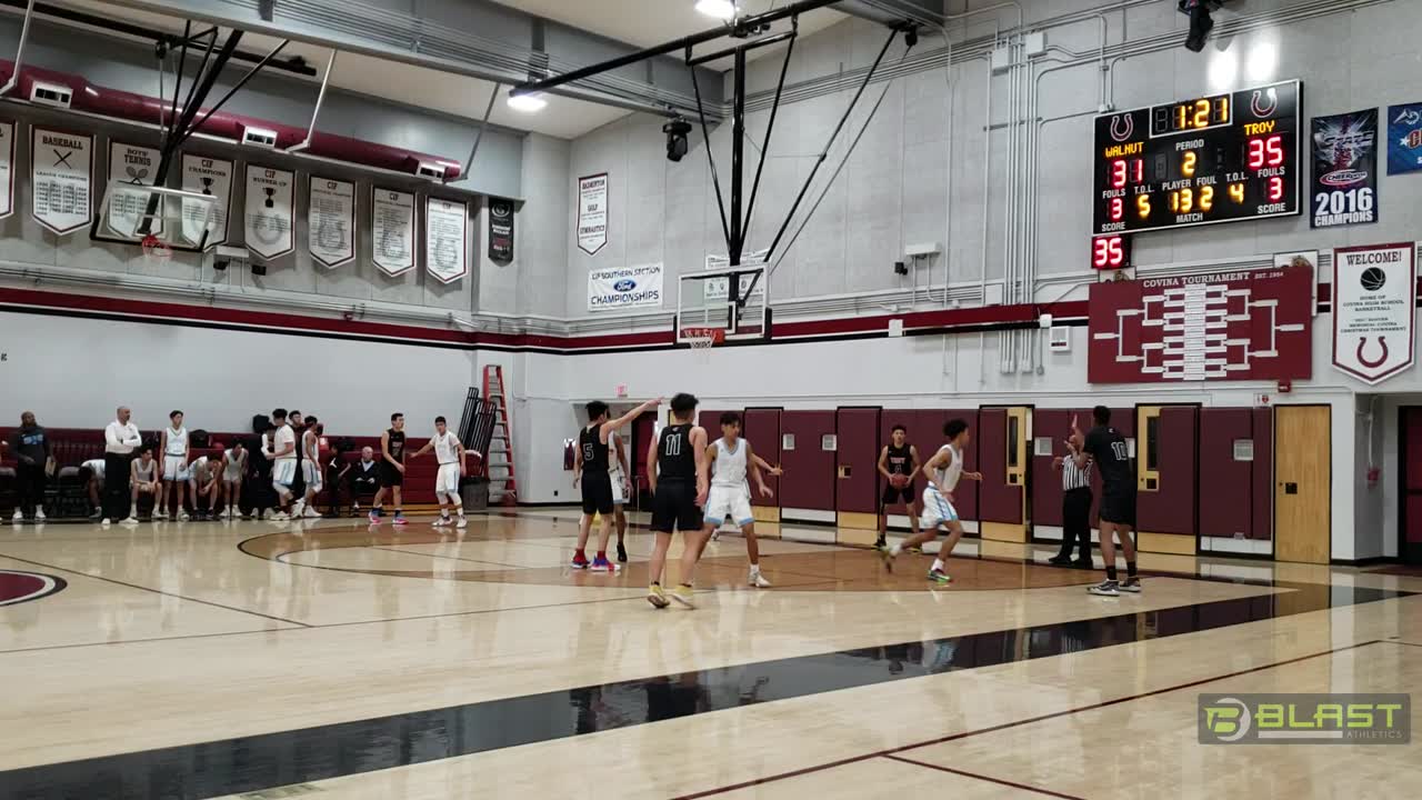 Troy vs. Walnut. Xylon and one